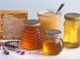 Продам мёд, прополис и продукты пчеловодства. / Новомосковск